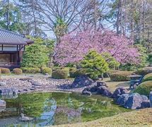 Image result for Cool Japan House Made Out of Cherry Blossom Wood