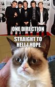 Image result for One Direction Grumpy Cat Memes