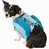 Image result for Dog Backpack