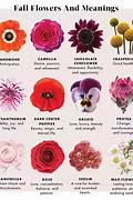 Image result for Color That Symbolizes Help