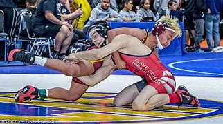 Image result for Folkstyle Wrestling Moves