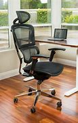 Image result for Office Chair Gray Adjustable Lumbar Support 3 Setting High Back