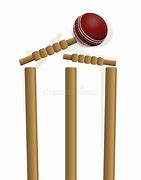Image result for Cricket Ball Hitting Wicket