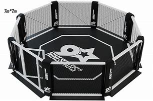Image result for MMA Cage