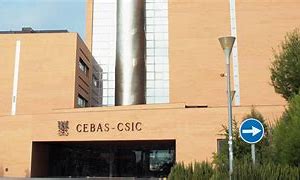 Image result for cetbas