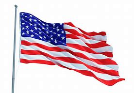 Image result for US Flag Icon