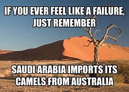 Image result for Desert Funnt Meme
