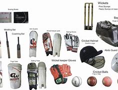 Image result for Cricket Items List