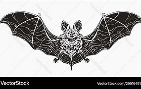 Image result for Cut Out Image of a Realistic Bat