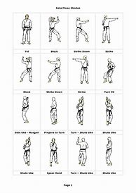 Image result for Karate Moves Step by Step