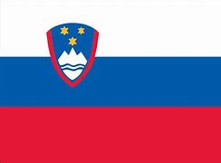 Image result for Slovenia Mini Flag