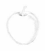 Image result for Apple Hatchimg Drawing