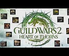 Image result for Guild Wars 2 Pets