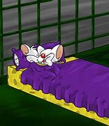 Image result for Pinky and Brain Cartoons Quotes