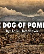 Image result for Pompeii Dog True Story