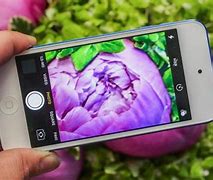 Image result for Apple iPod Touch Old