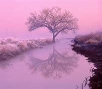 Image result for Pink Wallpaper Monitor