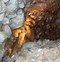 Image result for Geode Cavern