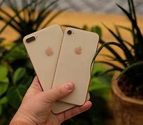 Image result for iPhone XR beside a iPhone 8 Plus