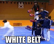 Image result for Shotokan Karate Purple Belt