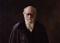 Image result for Plashaks Darwin