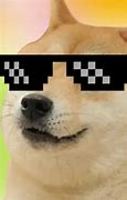 Image result for Dog Meme Wallpaper
