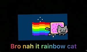 Image result for Rainboy Kitty Meme