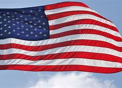 Image result for American Flag Blue Color
