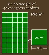 Image result for 25 Square Meters Exsmpled