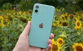 Image result for iPhone 11 iPhone XR Yellow