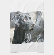 Image result for Decorative Towel Hooks Black Lab