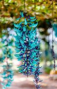 Image result for Vines and Flowers Room Decor