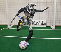 Image result for Robot Sport