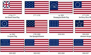 Image result for united states flag variants