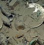 Image result for Most Recent Shipwreck