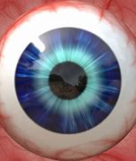 Image result for Retinal Structure