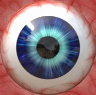 Image result for EyeBall Retina