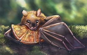 Image result for Bat Eating Bug Cartoon