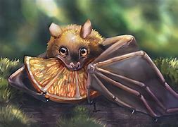 Image result for Cute Fruit Bat Art