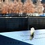 Image result for 9/11 Ground Zero