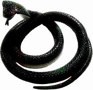 Image result for Toy Rubber Snake Black