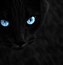 Image result for Green and Black Cat