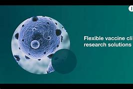 Image result for Global Research Solutions