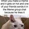 Image result for Crying Cat Dough Meme