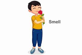 Image result for Boy Smelling