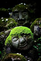 Image result for Moss Head