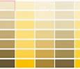 Image result for Beige Paint Chips