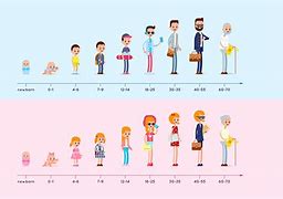 Image result for 10 Stages of Human Development
