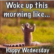 Image result for Jokes About Wednesday