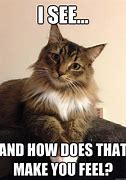 Image result for Cat On the Couch How Does It Make You Feel Meme